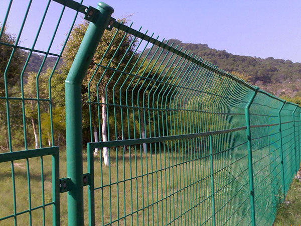 Welded Wire Mesh Fence图片2